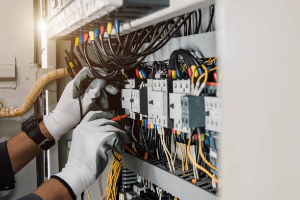Best Ceiling Fan Installation Electrician  in Ellisburg, NJ